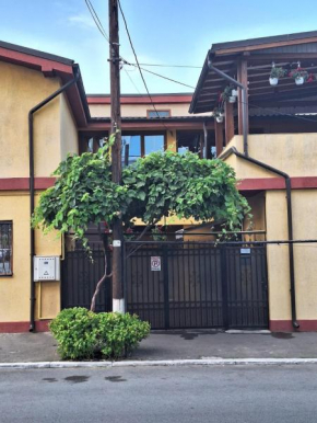 Vila Trandafir